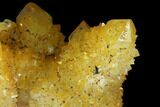 Sunshine Cactus Quartz Crystal - South Africa #96261-2